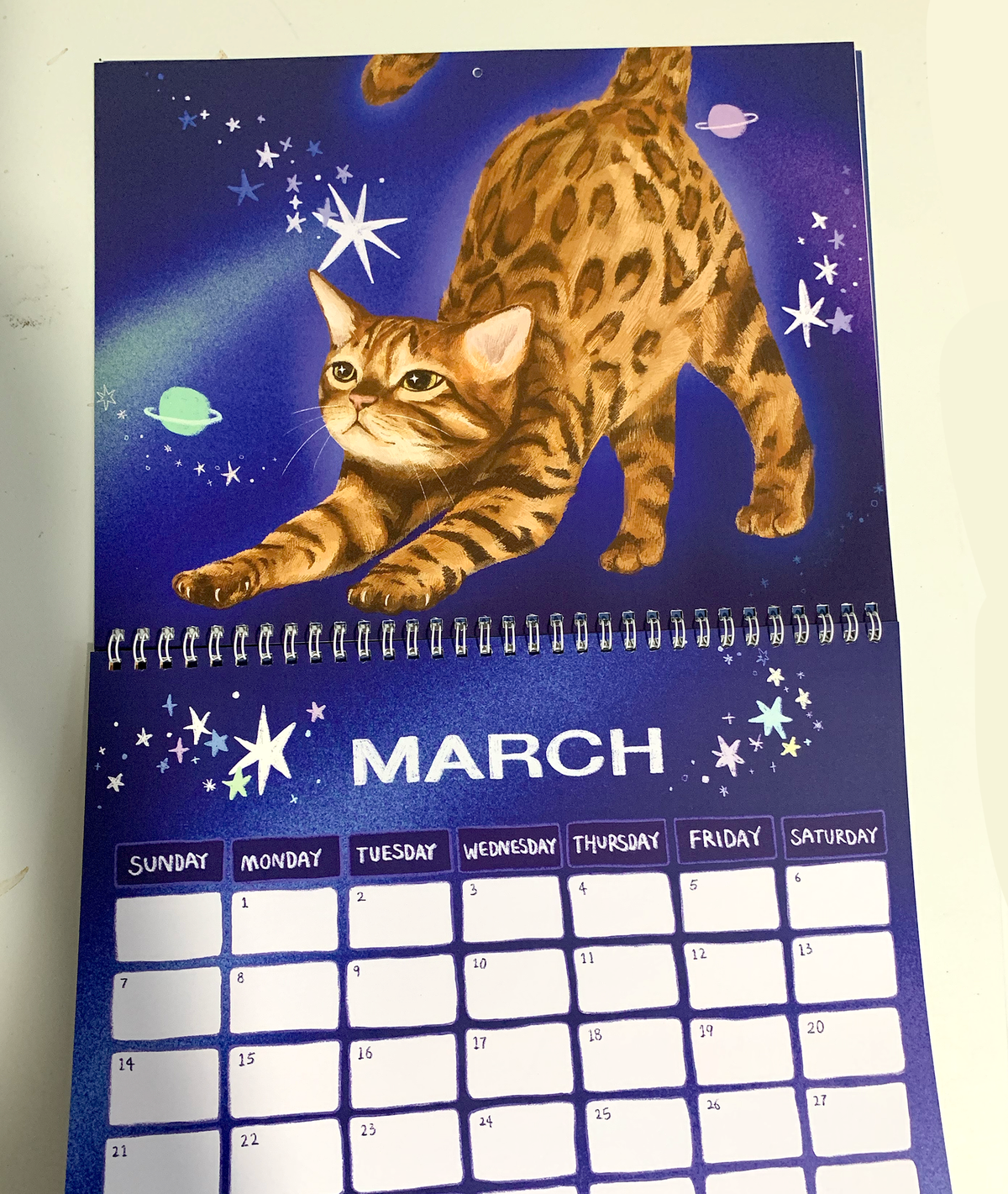 [Pre-Order] 2027 Cat Calendar Indigopearl Studio